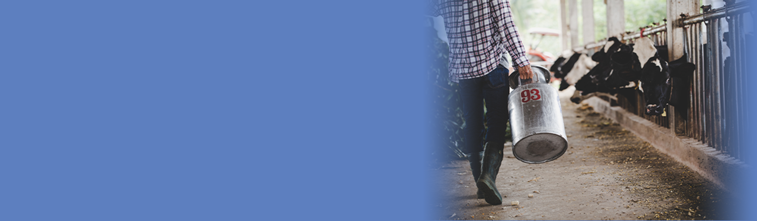 about doctor holding